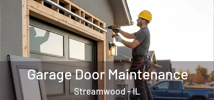 Garage Door Maintenance Streamwood - IL
