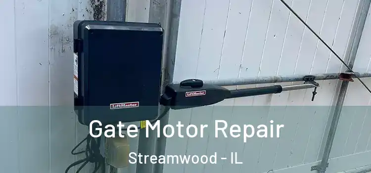  Gate Motor Repair Streamwood - IL
