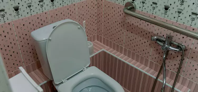 Meeting Diverse Needs With Accessible Restroom Solutions in Streamwood, IL