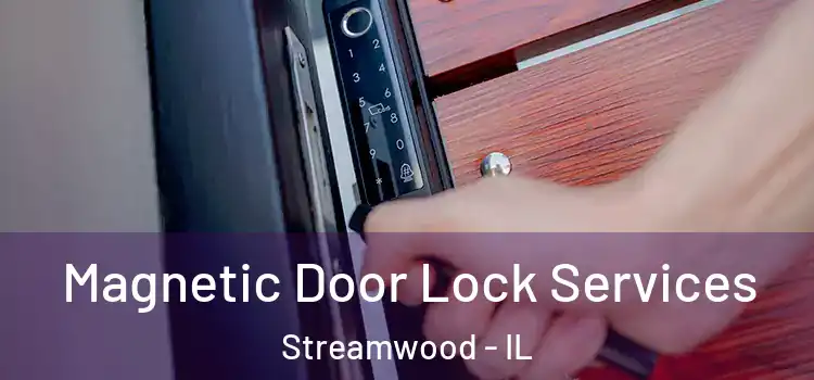 Magnetic Door Lock Services Streamwood - IL