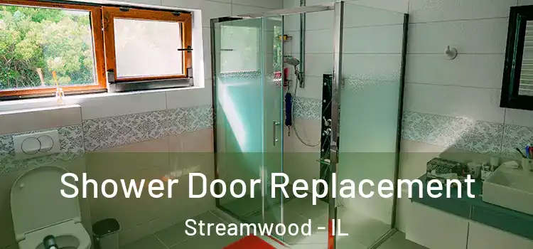 Shower Door Replacement Streamwood - IL