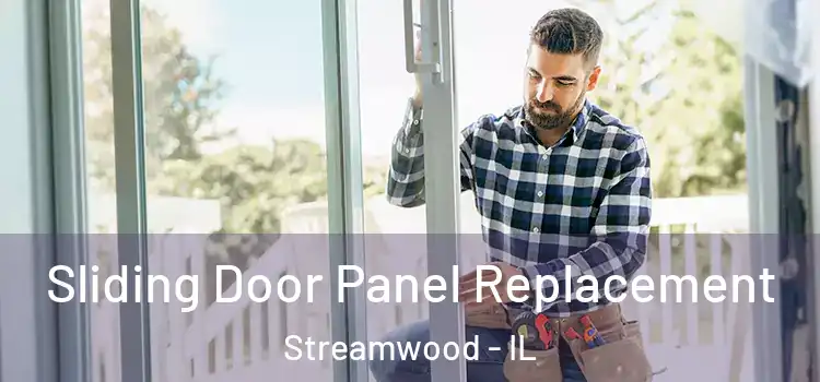  Sliding Door Panel Replacement Streamwood - IL